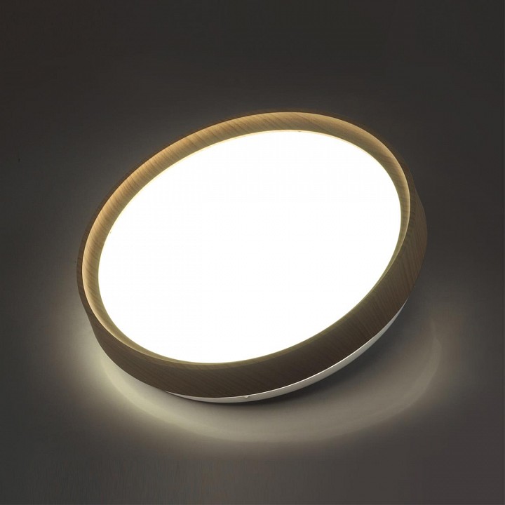 Накладной светильник Sonex Woodi 7603/CL