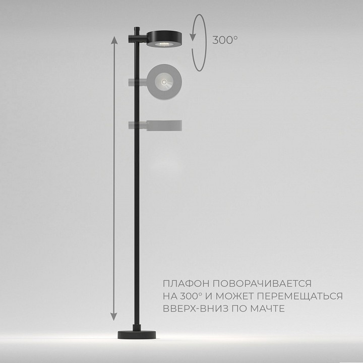 Наземный высокий светильник Elektrostandard Feature a066693