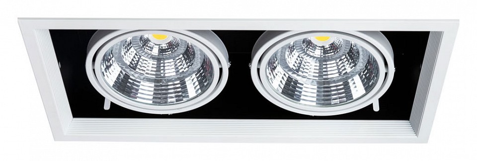 Встраиваемый светильник Arte Lamp Merga A8450PL-2WH