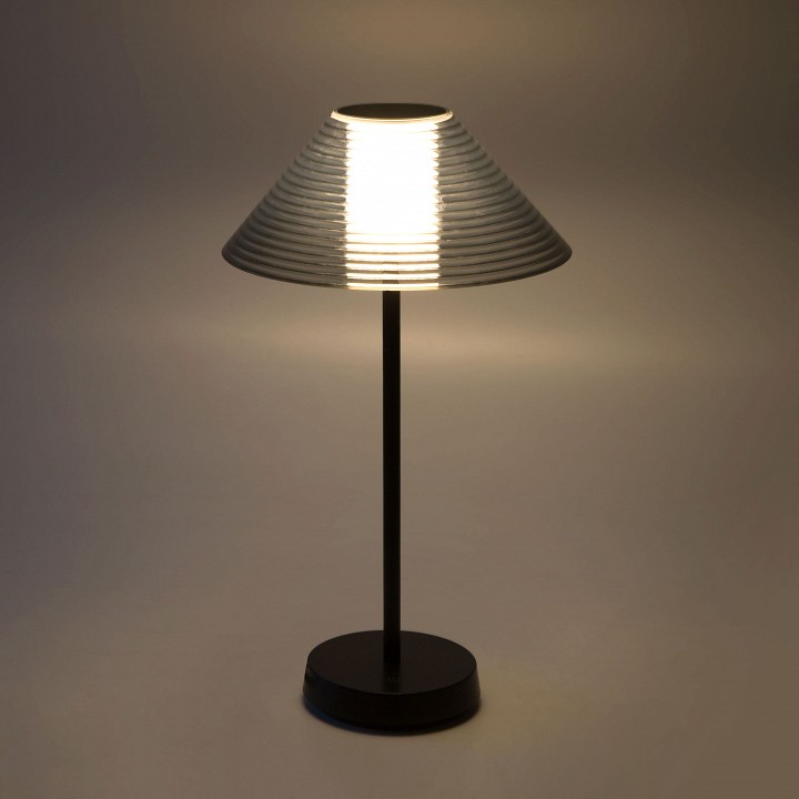 Настольная лампа декоративная Elektrostandard Mistery a062381